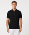 Saxon Polo HZ
