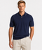 Saxon Polo HZ