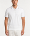 Saxon Polo HZ