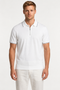 Saxon Polo HZ